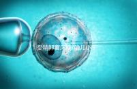 受精卵著床晚?胎兒小于停經(jīng)時間,分析：卵子精子結(jié)合晚