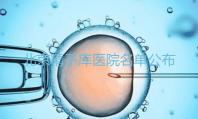 北京精子庫(kù)醫(yī)院名單公布(附2024供精條件&機(jī)構(gòu)介紹)
