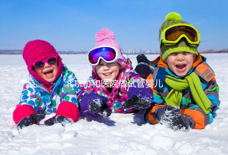 北京協(xié)和醫(yī)院做試管嬰兒，30歲以下成功率高費用更低