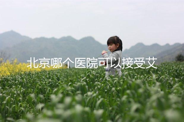 北京哪個(gè)醫(yī)院可以接受艾滋病病人做試管手術(shù)