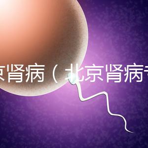 北京腎病（北京腎病專家排名）