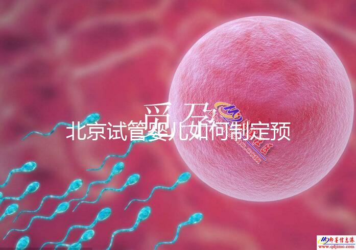 北京試管嬰兒如何制定預算，費用解析必看