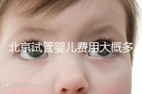 北京試管嬰兒費用大概多少？公立醫院與私立醫院對比分析