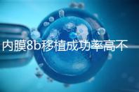 內(nèi)膜8b移植成功率高不高分析，掌握好時(shí)間放凍胚也能著床