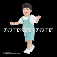 冬瓜子的功效（冬瓜子的功能與主治）