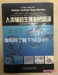 準媽媽了解下!懷孕4個月掌握正確睡姿助你做好夢
