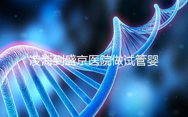 凌海到盛京醫(yī)院做試管嬰兒怎么樣？一位準(zhǔn)媽媽費(fèi)用清單分享