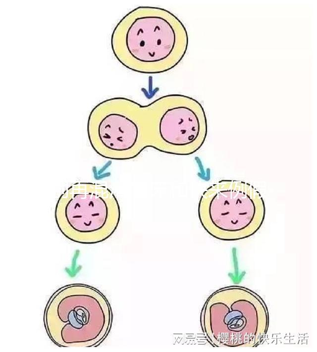別再混淆著床和快來例假了，除了出血量還有這些區別