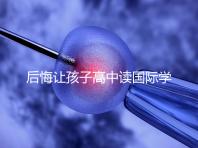 后悔讓孩子高中讀國際學校4大理由，行動前學籍咋辦要弄清