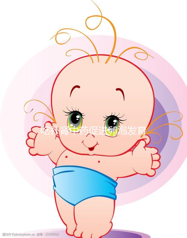 吃補腎中藥促進卵泡發育有奇功，按方子調理卵泡大又圓