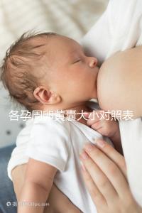 各孕周卵黃囊大小對照表，偏大、偏小都不正常