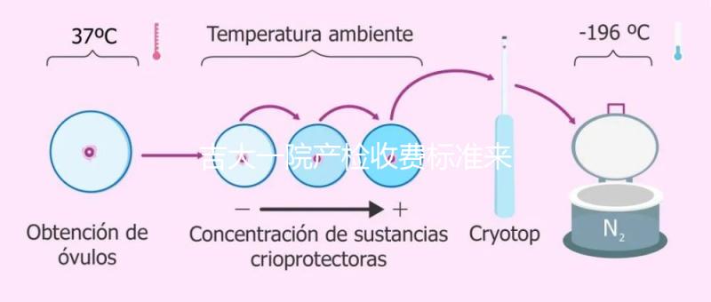 吉大一院產檢收費標準來了！免費項目和報銷比例一文說明