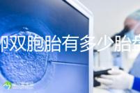 同卵雙胞胎有多少胎盤？1個(gè)or2個(gè)當(dāng)場(chǎng)講給你聽