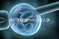 同一天移植為什么別人孕囊大答案公布，進周前都看看