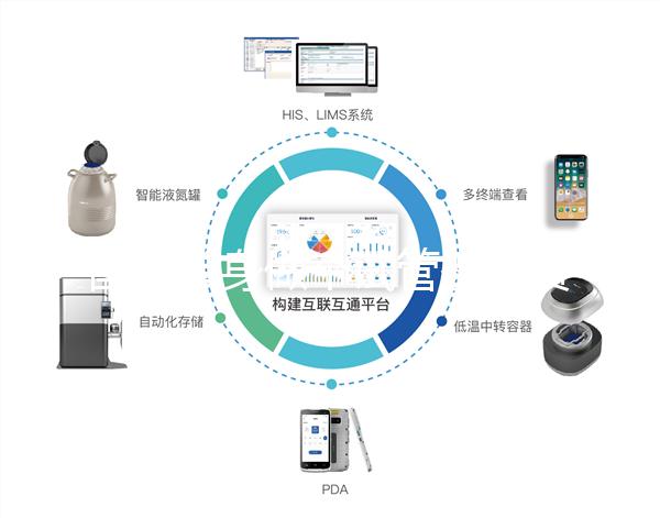 國內單身做個試管嬰兒費用大概要多少？