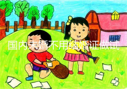 國內(nèi)未婚不用結(jié)婚證做試管機構(gòu)都有哪些？