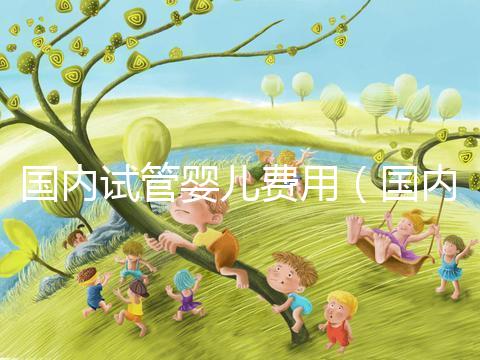 國(guó)內(nèi)試管嬰兒費(fèi)用（國(guó)內(nèi)試管嬰兒費(fèi)用多少）