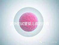 國(guó)外的試管嬰兒真的很有優(yōu)勢(shì)嗎（國(guó)外的試管嬰兒真的很有優(yōu)勢(shì)嗎視頻）