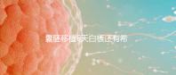 囊胚移植6天白板還有希望嗎？別沮喪該來的總是會來的