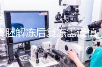 囊胚解凍后復(fù)凍需謹(jǐn)慎，這些對胚胎質(zhì)量的影響不可不知