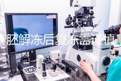 囊胚解凍后復凍需謹慎，這些對胚胎質量的影響不可不知