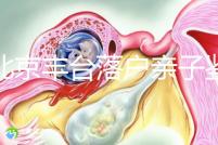 在北京豐臺落戶親子鑒定的地方，首先了解2024年的最新政策
