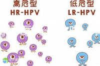 體育場(chǎng)每天開(kāi)放嗎（體育場(chǎng)每天開(kāi)放嗎現(xiàn)在）