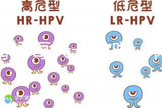體育場每天開放嗎（體育場每天開放嗎現在）