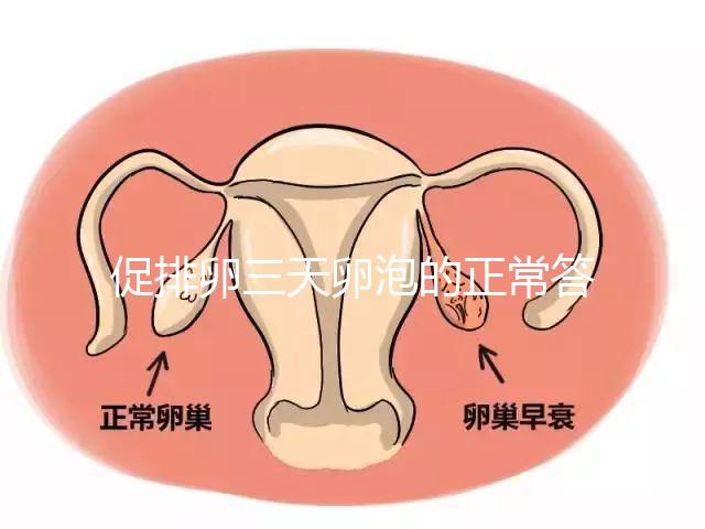 促排卵三天卵泡的正常答案是什么？取出8毫米卵原細(xì)胞的時間