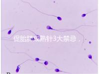 促胎肺成熟針3大禁忌，這份使用前注意事項請查收