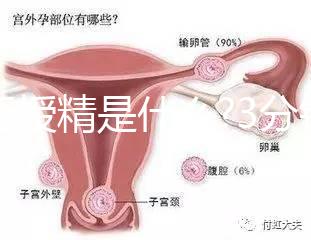 人工授精是什么?3分鐘讀完這篇文章，解答你所有疑問