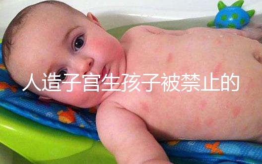 人造子宮生孩子被禁止的原因有三，會(huì)不會(huì)被允許未成定論