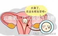 云南第三代試管嬰兒的費用是多少？如何選擇可靠的醫院？這篇文章的策略已經為你做好了