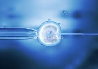 五紅湯喝多久才有效果？讓喝過的人告訴你！