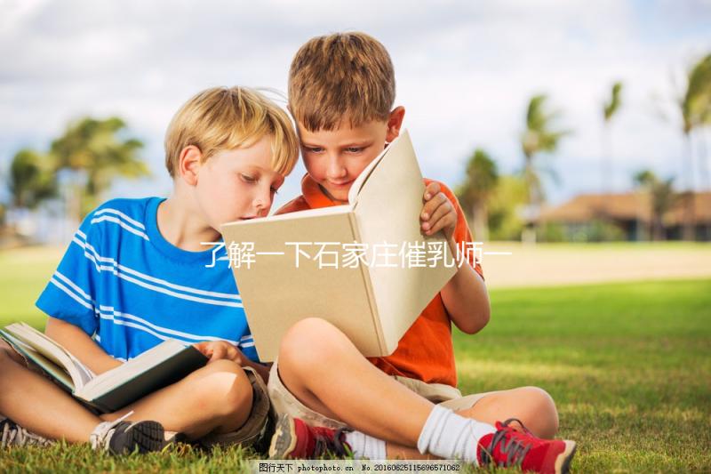 了解一下石家莊催乳師一次要多少錢，2024找到合適的公司是關鍵