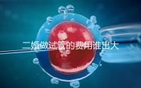 二婚做試管的費用誰出大揭秘！總共要花多少錢清清楚楚！