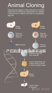 產(chǎn)后疏通乳腺按摩手法解密，不用吸奶器輕松搞定堵奶、奶結(jié)