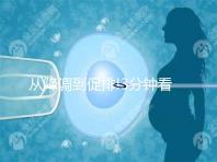 從降調(diào)到促排!3分鐘看完試管嬰兒長(zhǎng)方案流程步驟