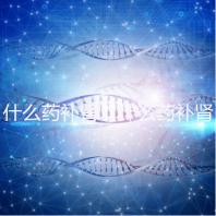 什么藥補腎（什么藥補腎壯陽效果最好）