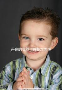 丹參的功效（丹參對男性性功能影響）