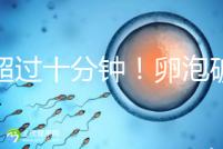 不超過十分鐘！卵泡破裂到輸卵管的時(shí)間，備孕必收藏