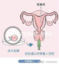 一篇告訴你結婚三金要花多少錢，高不高還得看克數