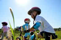 一代二代三代試管區(qū)別科普表演(一代二代三代試管什么區(qū)別)