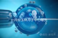 一月份玉林月子中心曝光多少錢？不要錯過2024年福綿三家公司的口碑