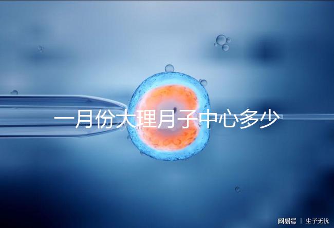 一月份大理月子中心多少錢早知道，2024年排名前十的機構