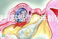 丁桂兒臍貼適用年齡沒明確規(guī)定，但初次使用必須滿月