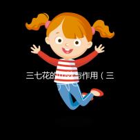 三七花的功效與作用（三七花的功效與作用主治與用量）