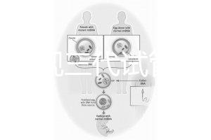 中國正規三代試管嬰兒機構名單，2025生殖機構排名參考