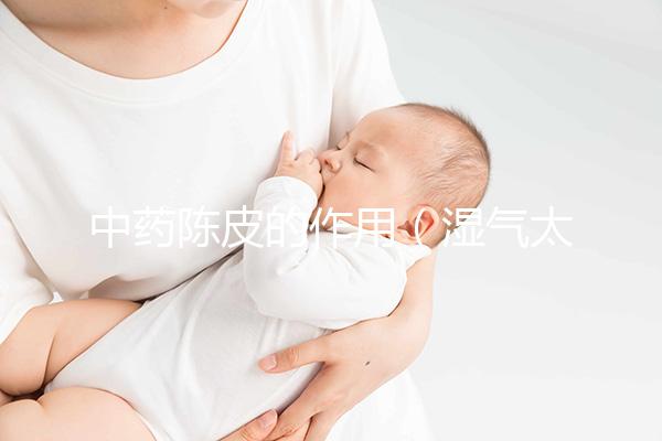 中藥陳皮的作用（濕氣太重的人吃陳皮加什么）