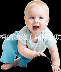 烏梅的功效（烏梅的功效與作用的功能與主治）